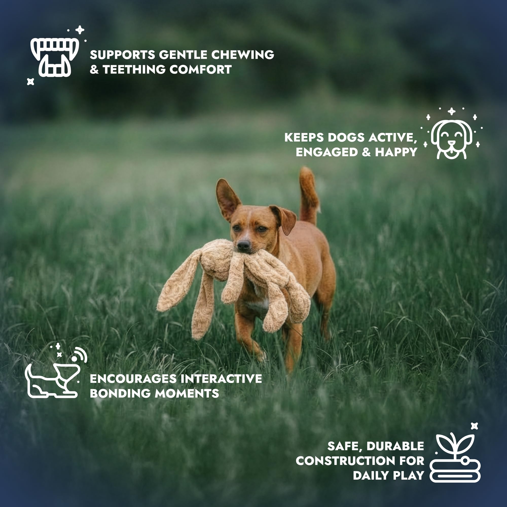 Pet Lou stuffingless floppy plush dog toy 19in rabbit squeaker detail for alert play