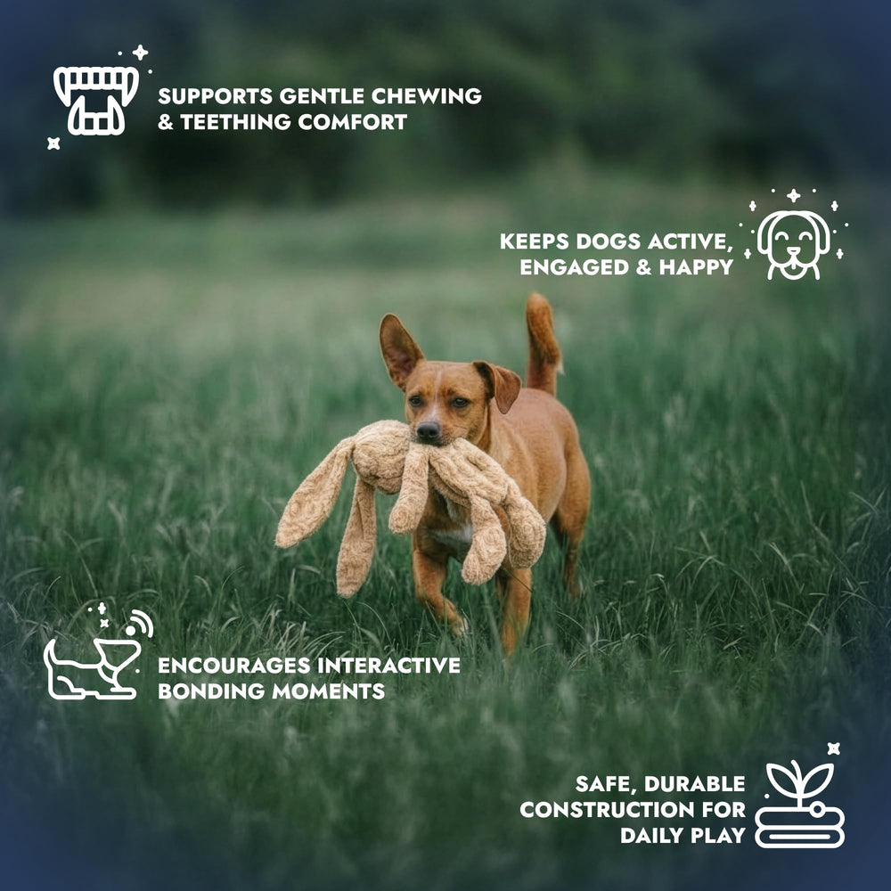 Pet Lou stuffingless floppy plush dog toy 19in rabbit squeaker detail for alert play