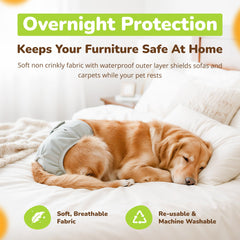 PET MAGASIN adjustable fit strap demonstrating customizable comfort for small to medium dogs