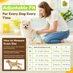 PET MAGASIN dog diapers in use during heat to help keep living spaces clean