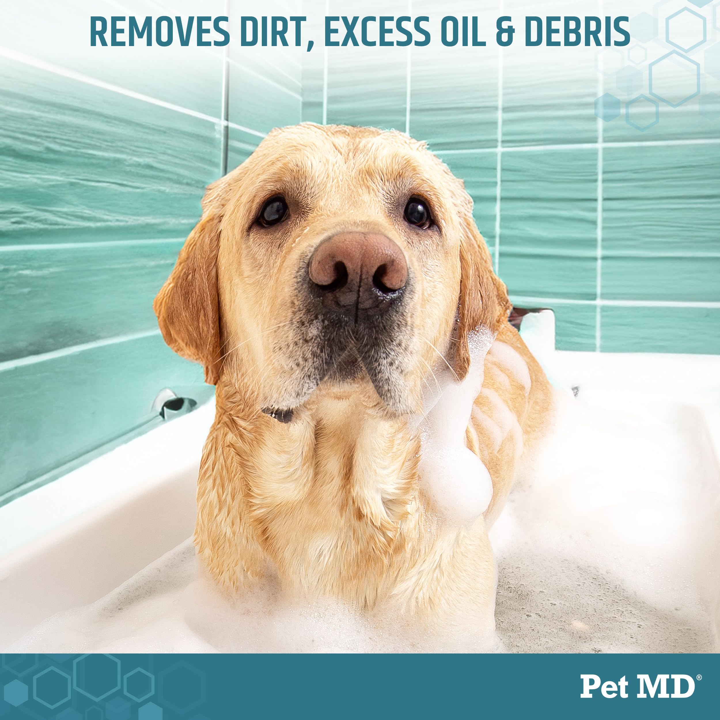 Pet MD benzoyl peroxide shampoo lather for dermatitis care.