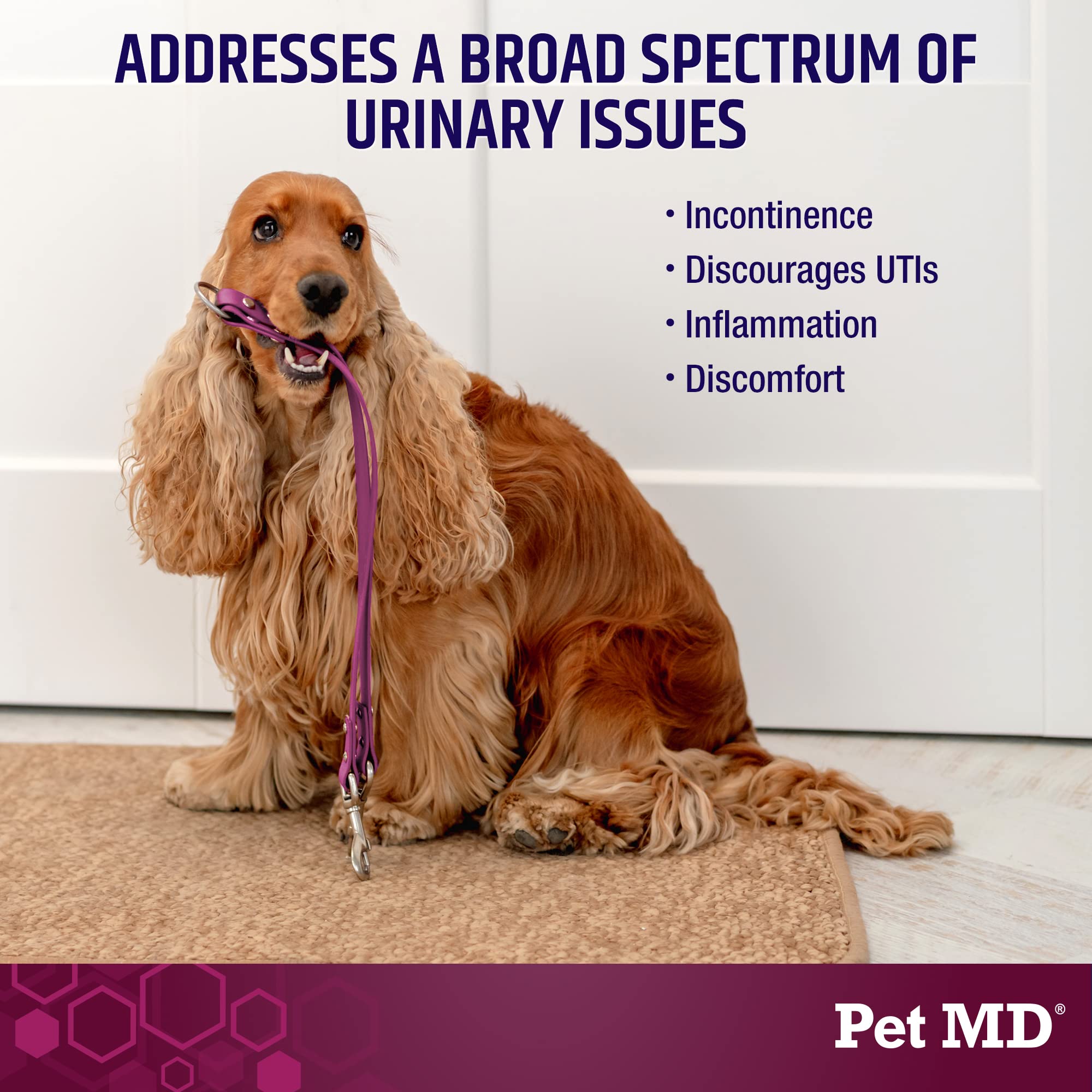 Pet MD Bladder Support Plus Cranberry dog bites close-up for bladder comfort.