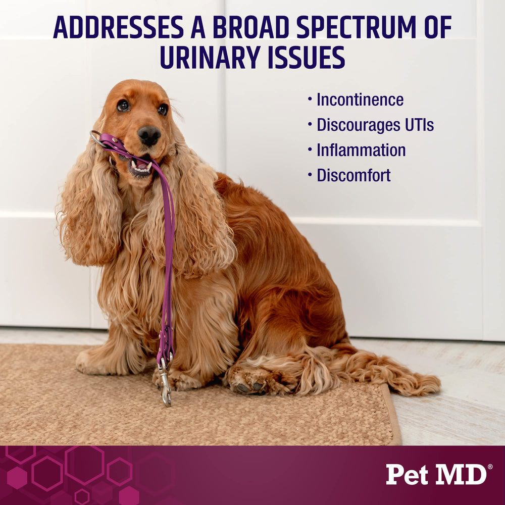 Pet MD Bladder Support Plus Cranberry dog bites close-up for bladder comfort.