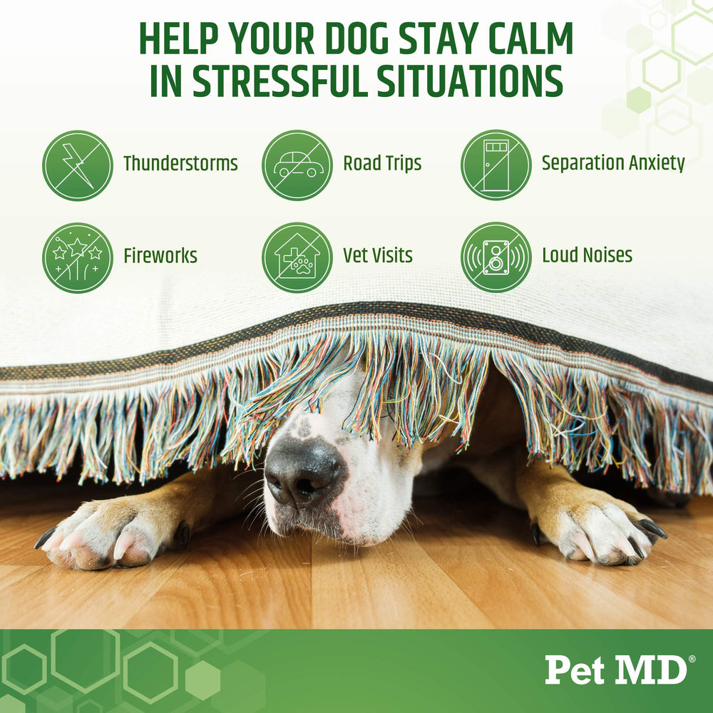Pet MD Calming Chews ingredients scene featuring hemp, chamomile, melatonin.