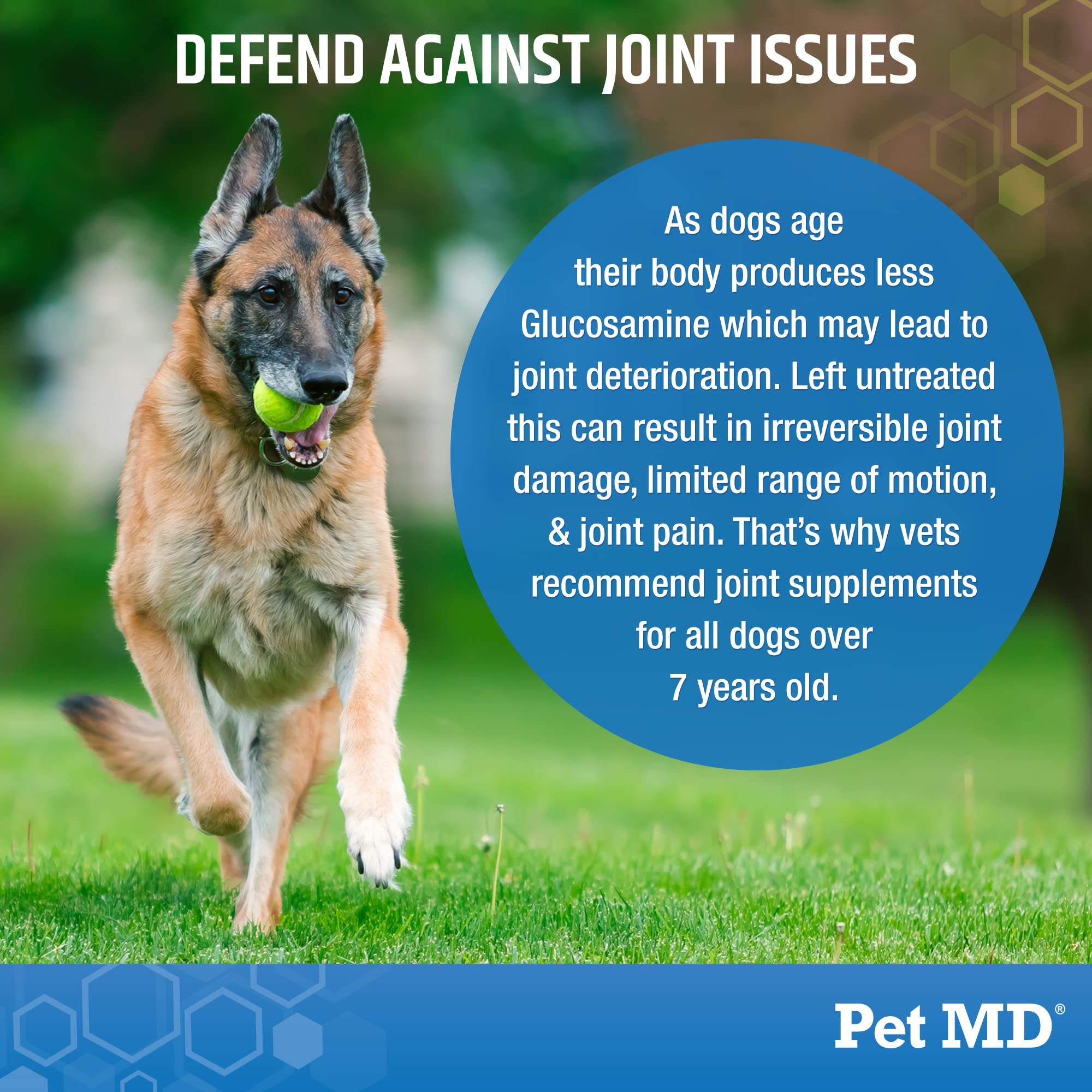 Pet MD Glucosamine for Dogs bacon flavored chews ideal for daily mobility