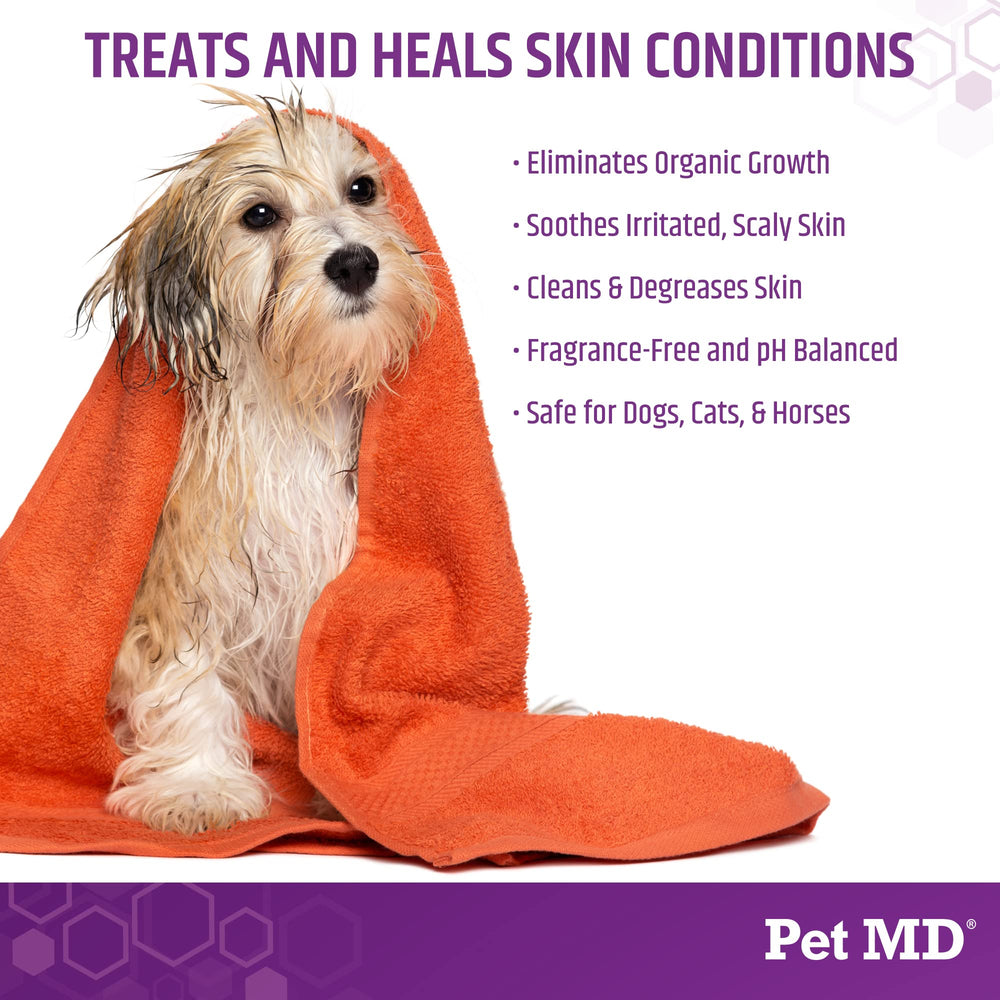 Pet MD Micoseb-CX after-use coat shows healthy shine and cleanliness.