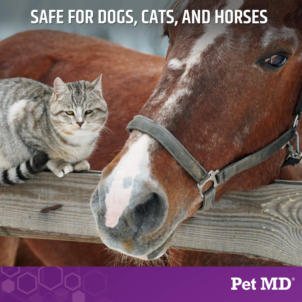 Pet MD Micoseb-CX bottle label shows Made in USA for trusted quality.