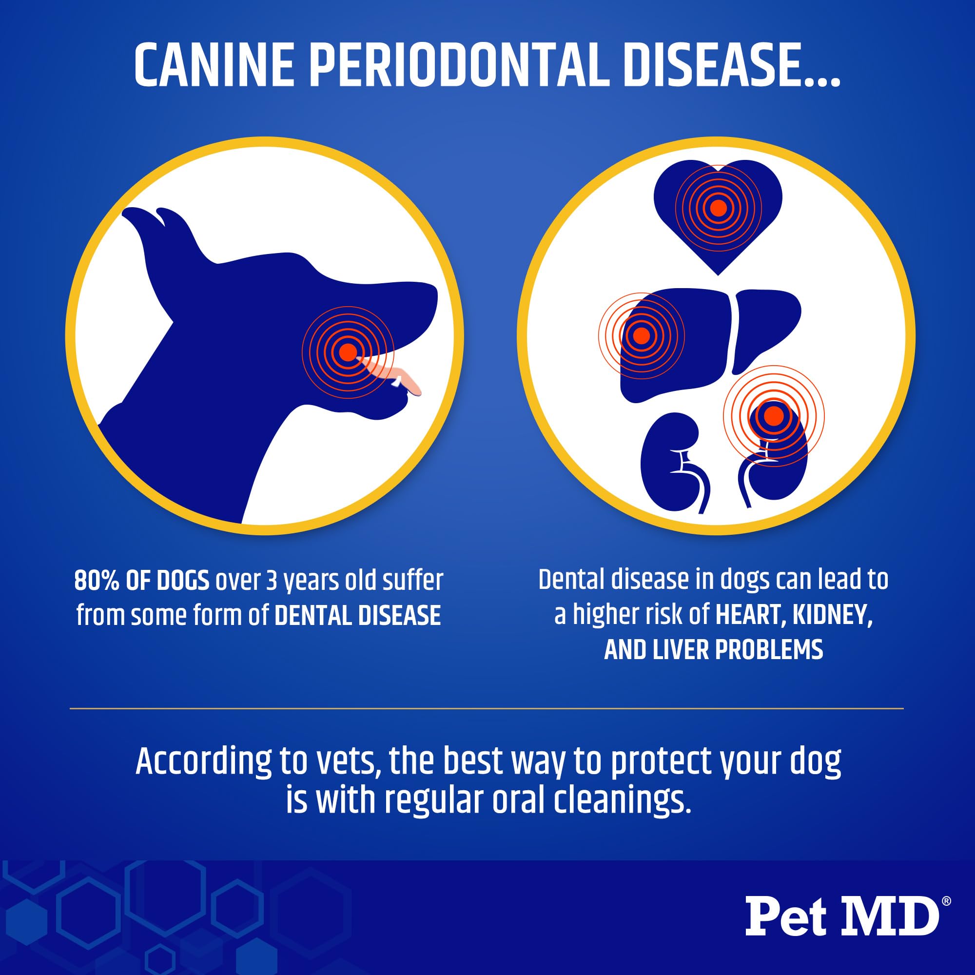 Pet MD Proden PlaqueOff dissolving powder on food highlights easy daily dental care.