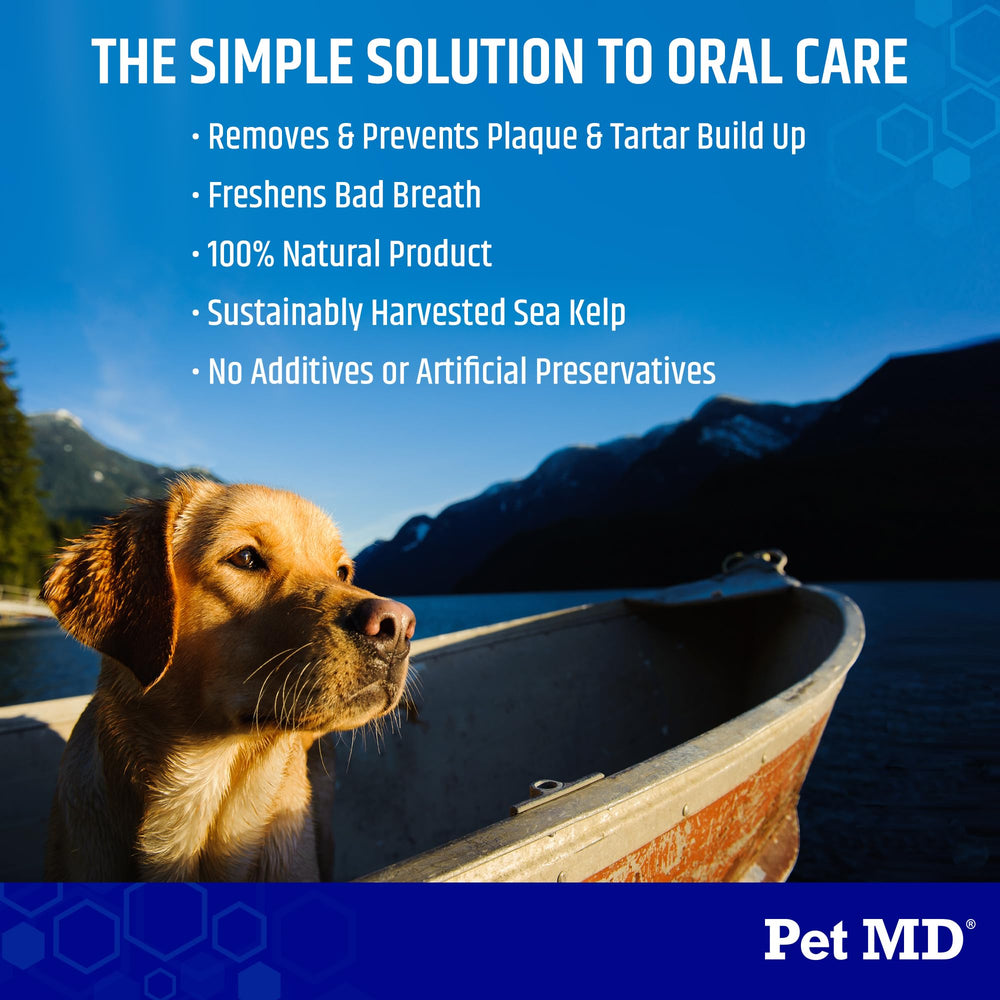 Pet MD Proden PlaqueOff fresh breath after use illustrates improved dog breath potential.