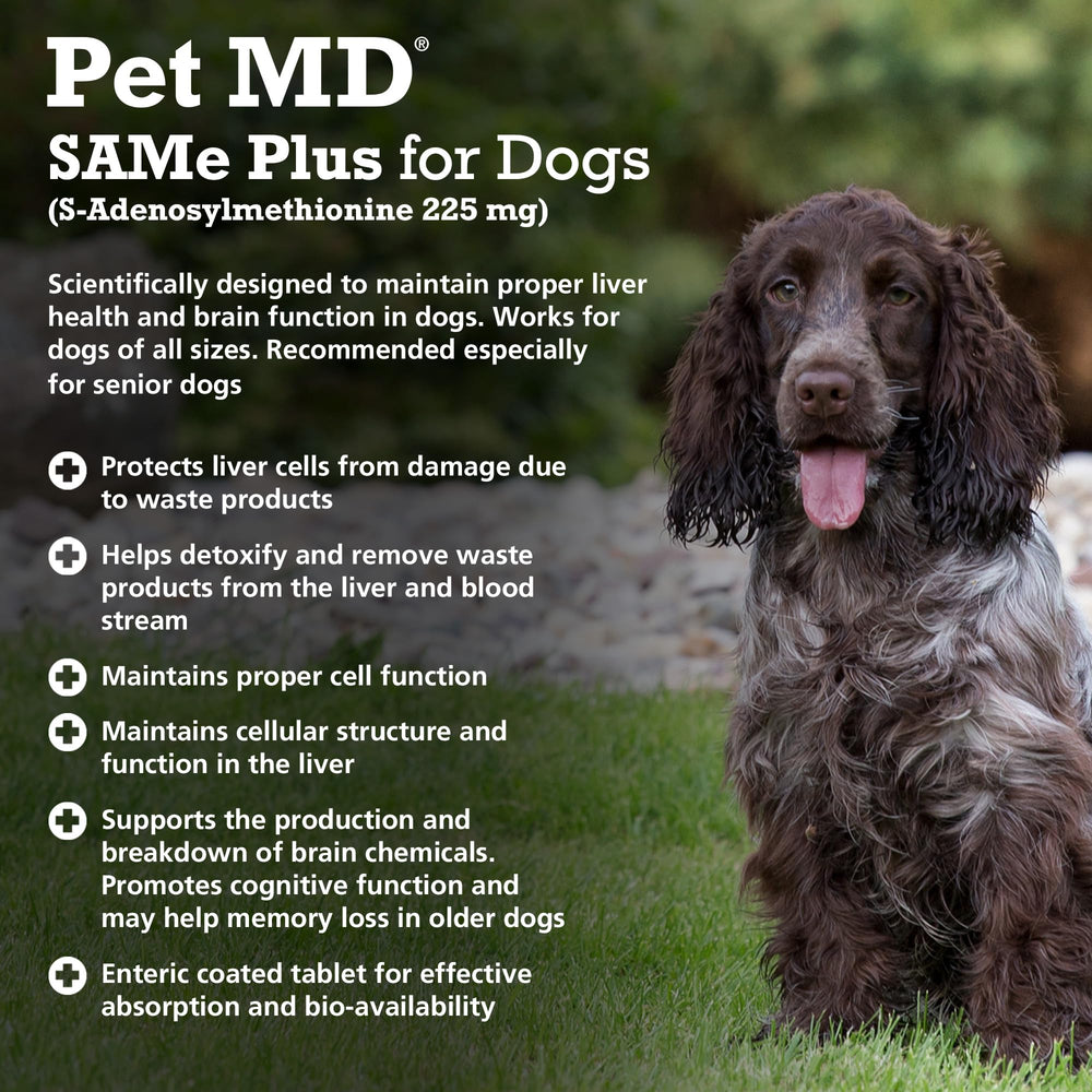 Pet MD Same Plus cognitive support for dogs aids mental sharpness.
