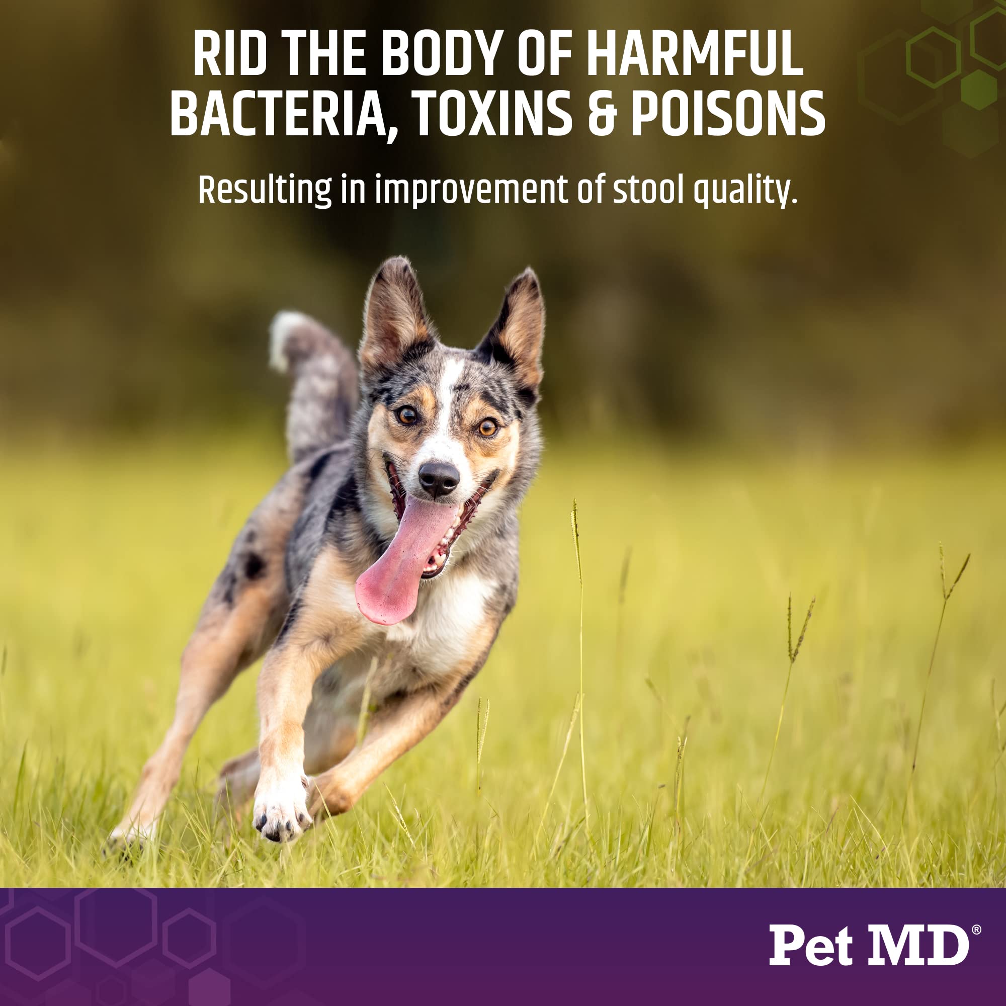 Pet MD Stool-Fix for dogs and cats shown as versatile upset-stomach support.