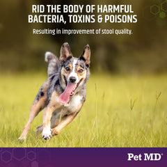 Pet MD Stool-Fix for dogs and cats shown as versatile upset-stomach support.