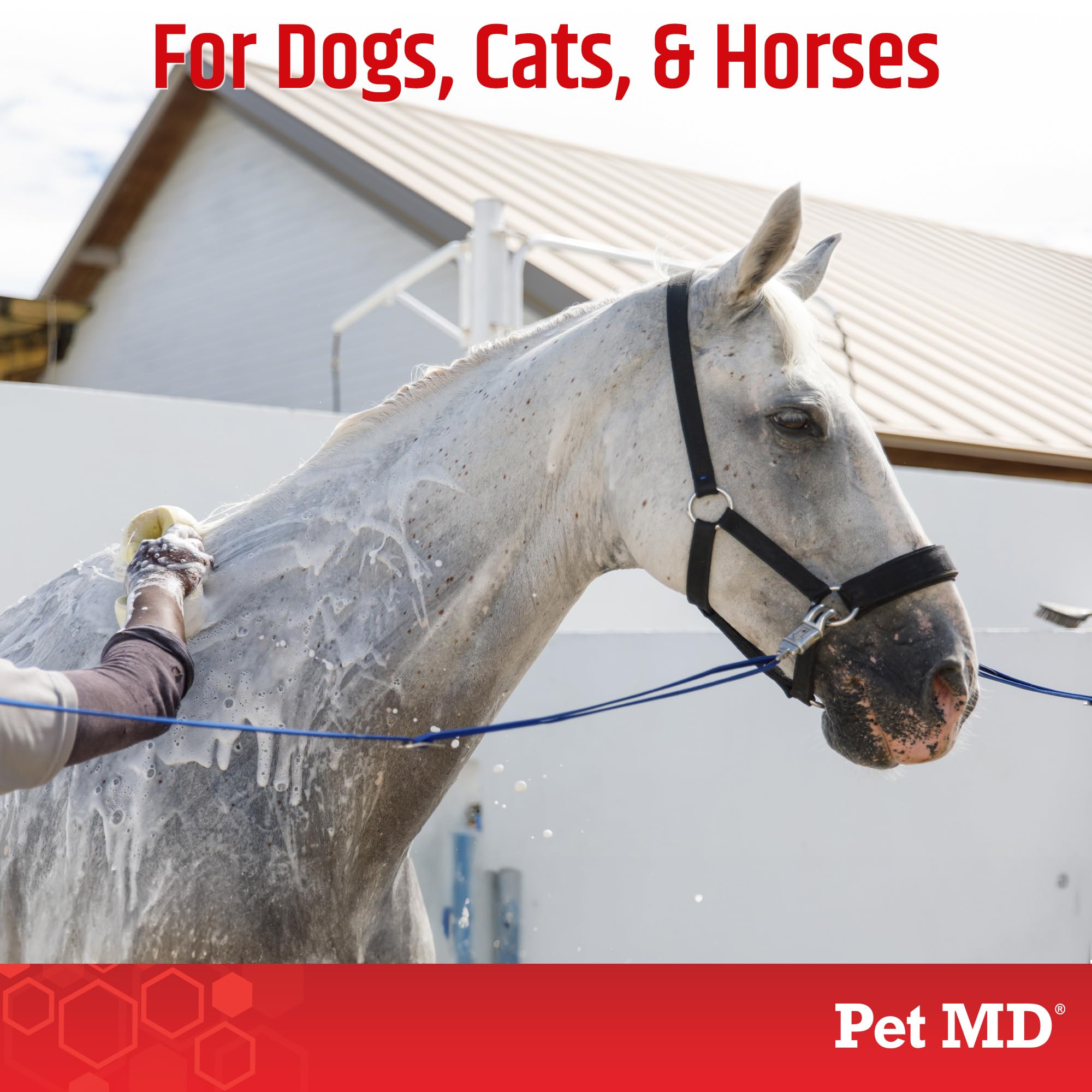 Pet MD Topical Shampoo horse-coat versatile grooming for horses' coats.