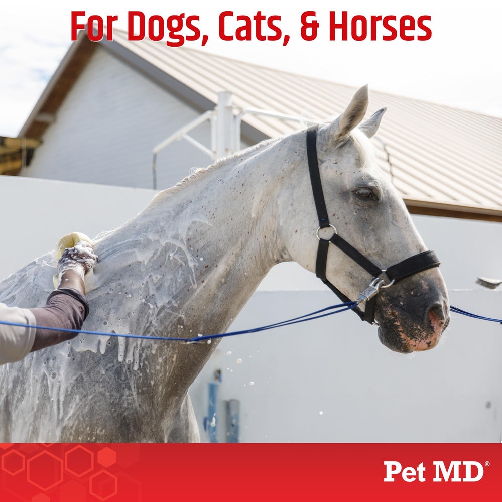 Pet MD Topical Shampoo horse-coat versatile grooming for horses' coats.