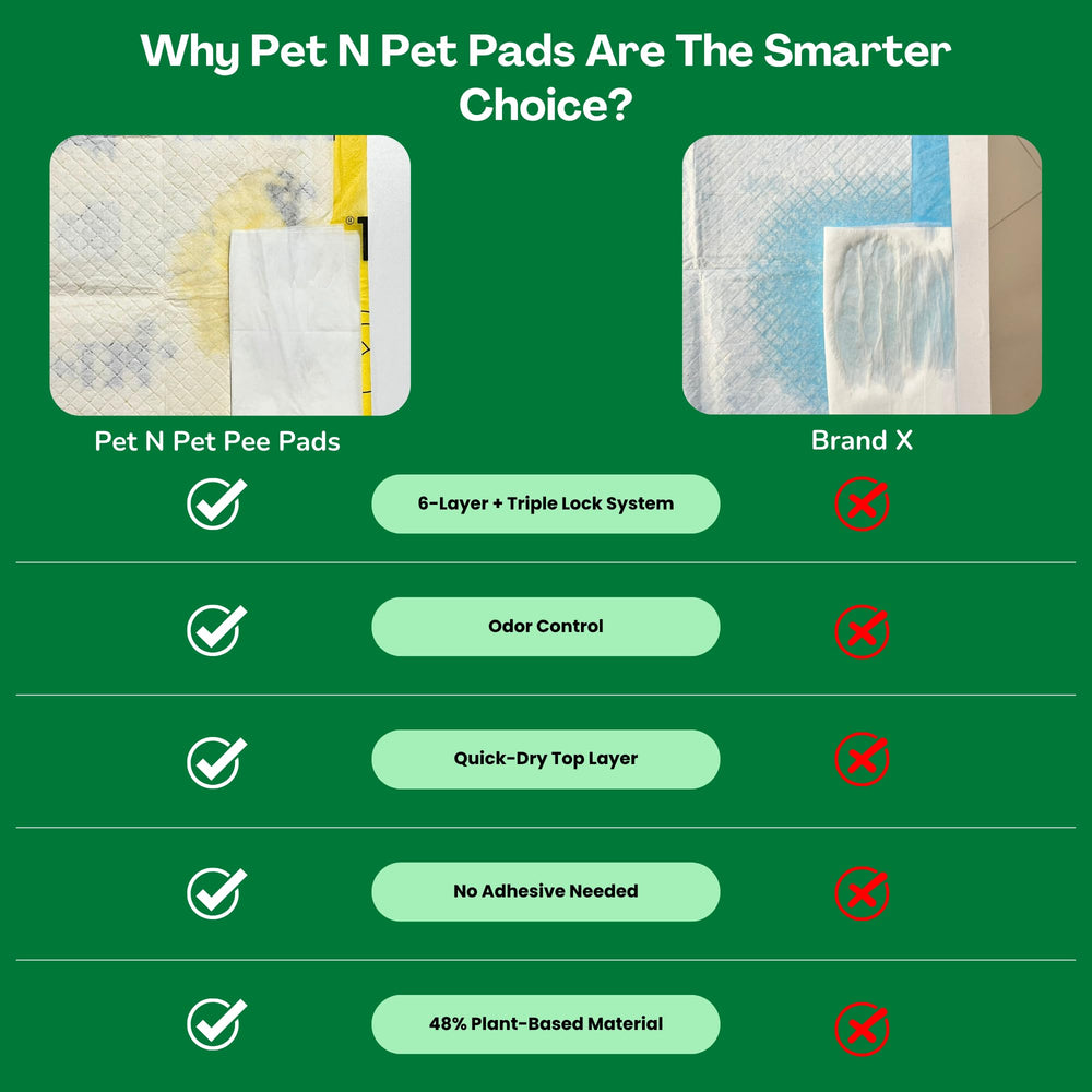 Pet N Pet car-seat pad offers on-the-go protection during travel.