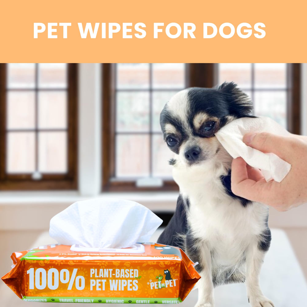 PET N PET dog wipes used on paws after walk