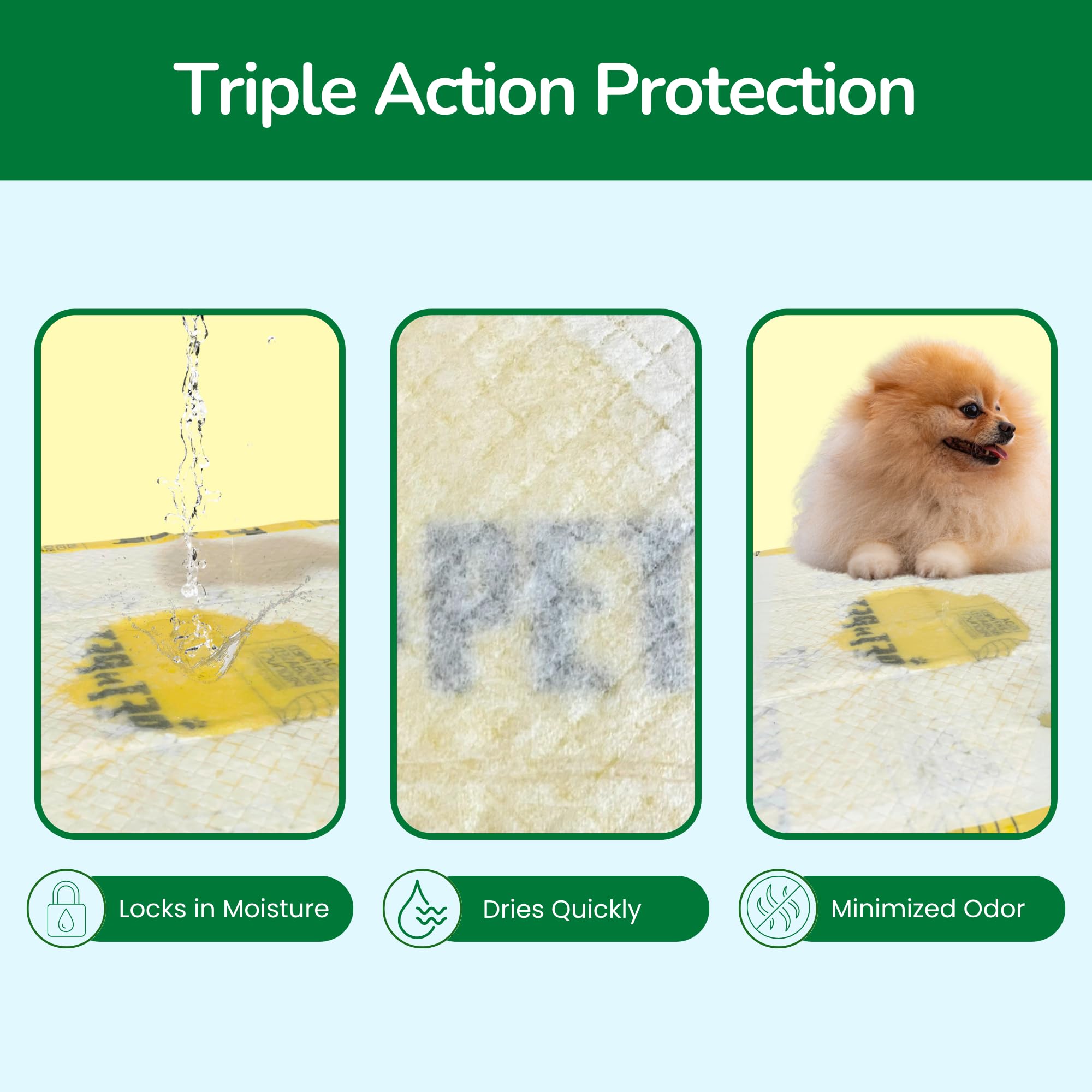 Pet N Pet odor-control design traps smells for a cleaner living space.