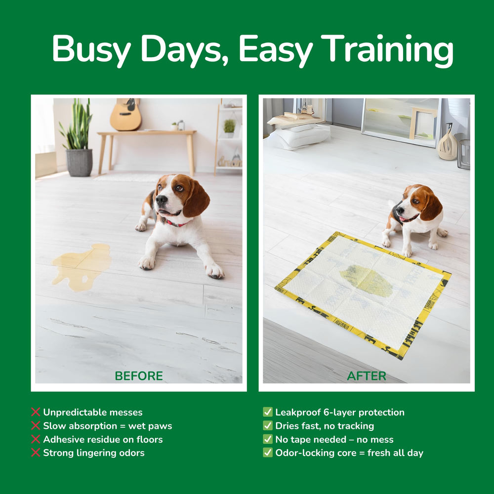 Pet N Pet 50 pads pack image highlights convenient, ready-to-use coverage.