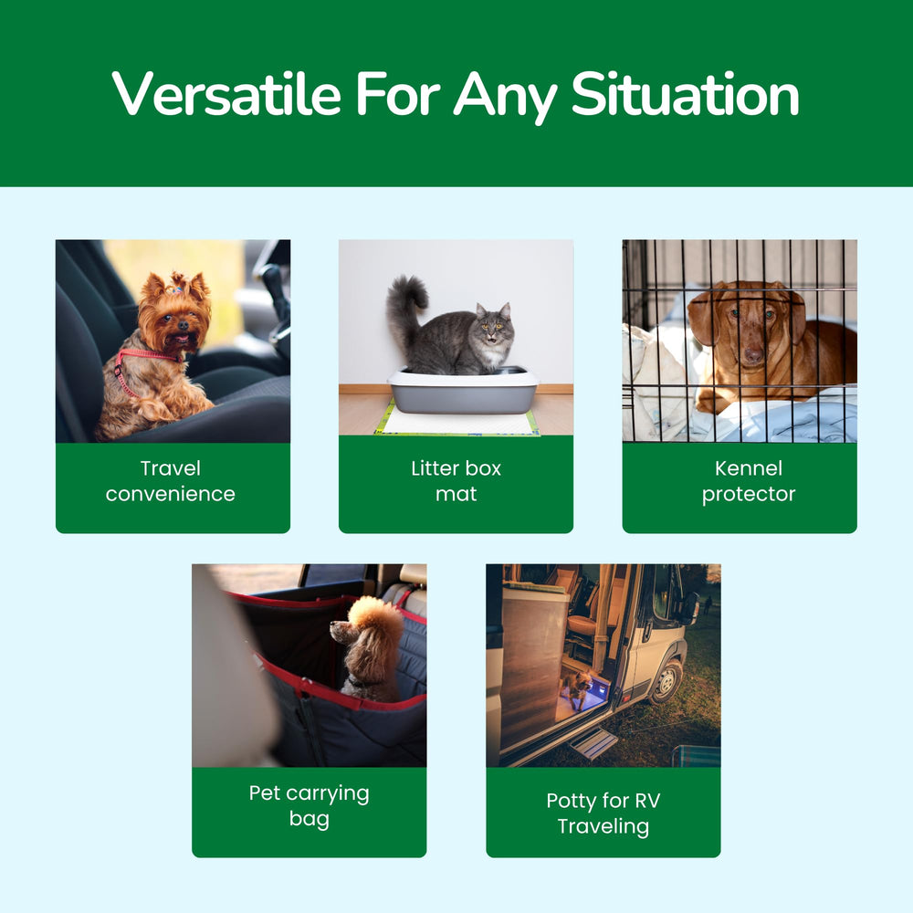 Pet N Pet senior-pet care pad provides gentle protection for aging dogs.