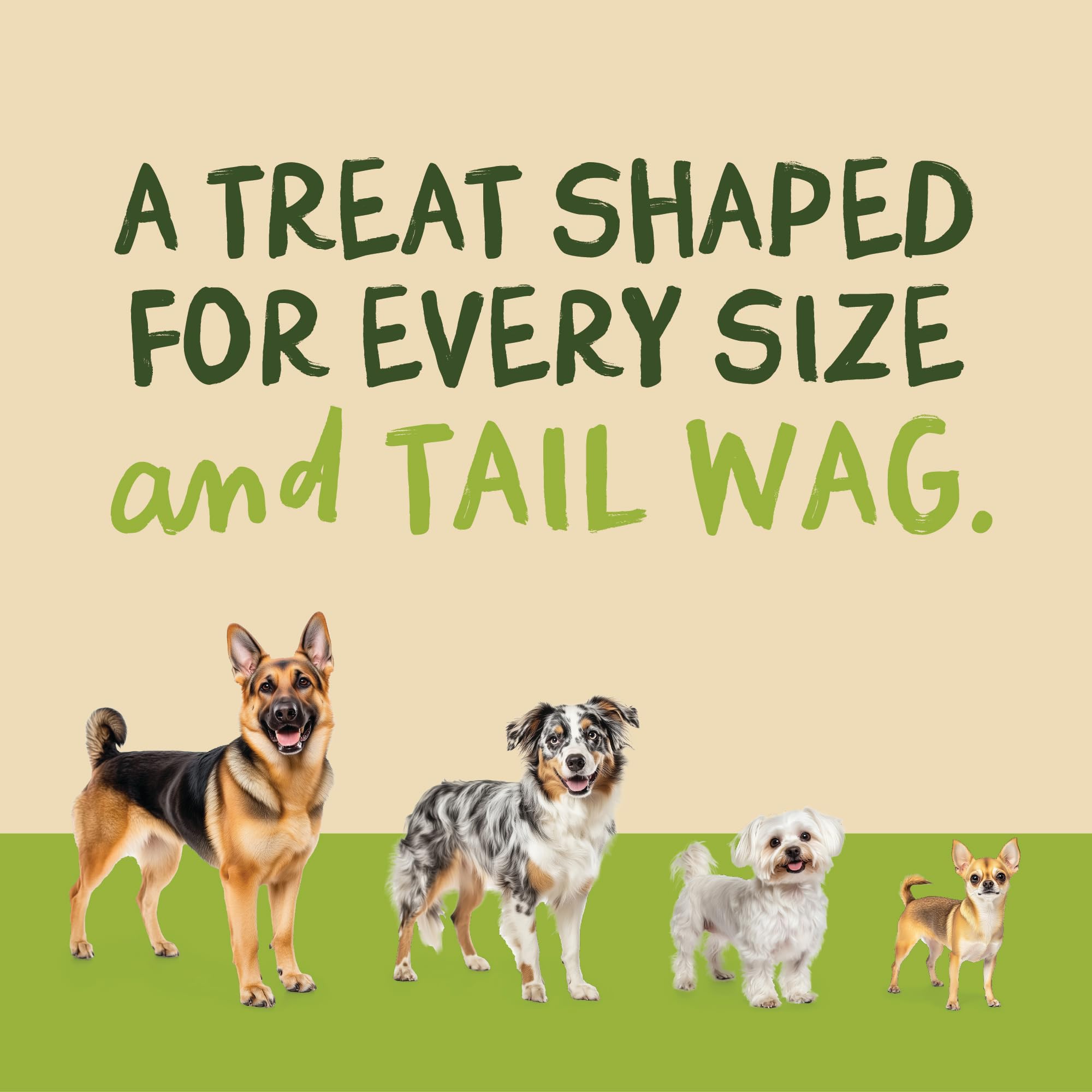 Pet 'n Shape Chik 'N Rice Dumbbells wheat corn soy free for sensitive pets