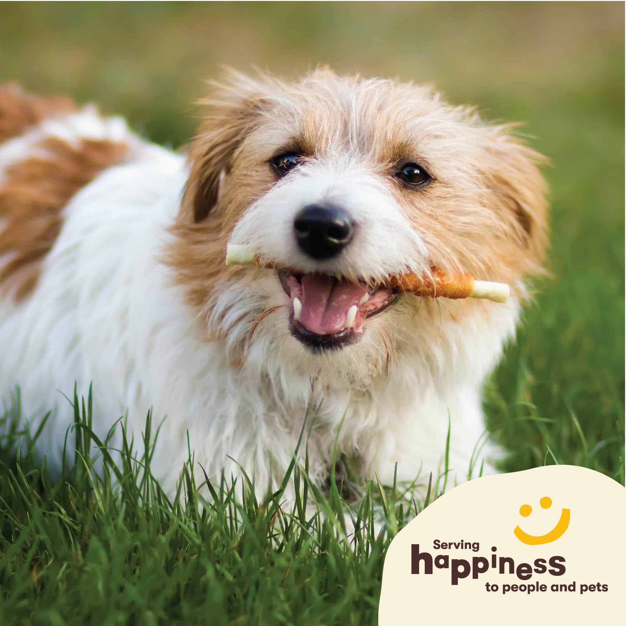 Ingredients label of Pet 'n Shape Hide Twists with chicken breast wrapped beefhide