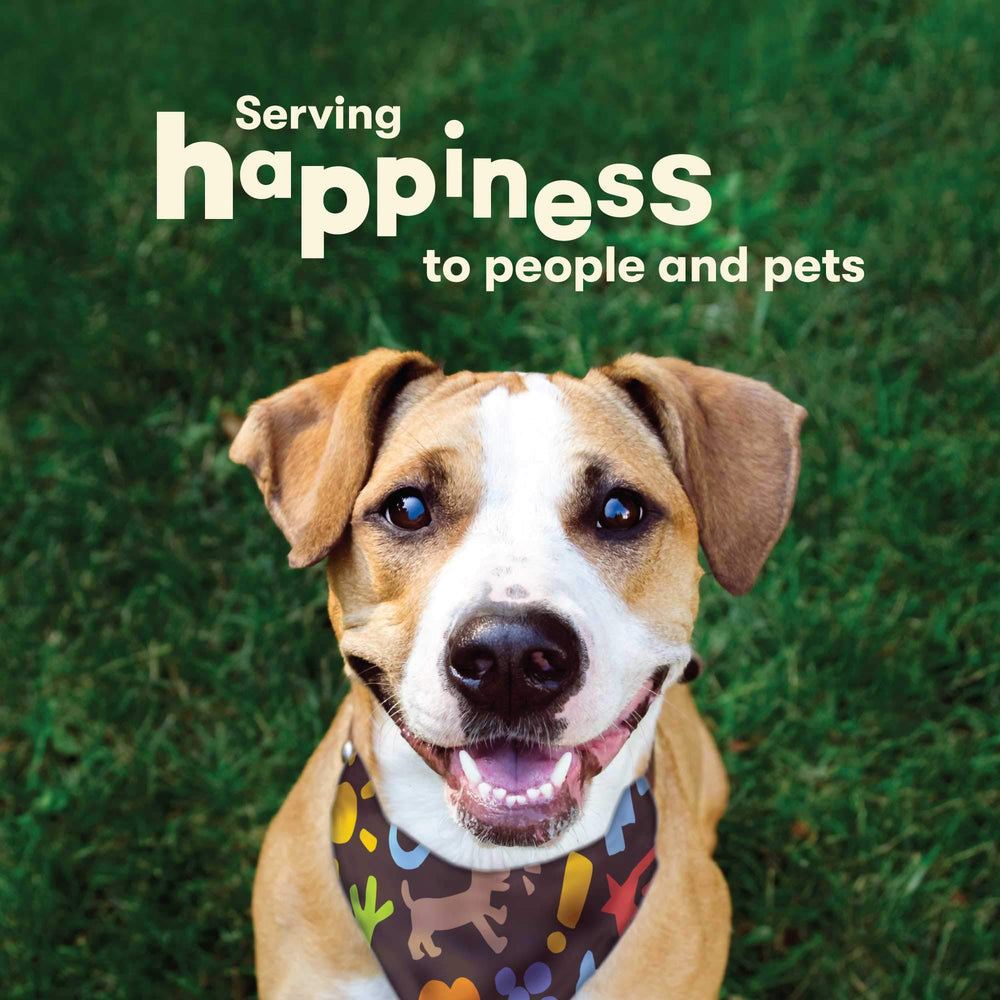 Pet 'n Shape Lamb Strip bite-size pieces show versatile training or snack options.