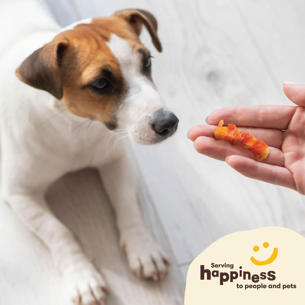 Pet 'n Shape Sweet Potato Chews senior dog-friendly bite for all life stages.