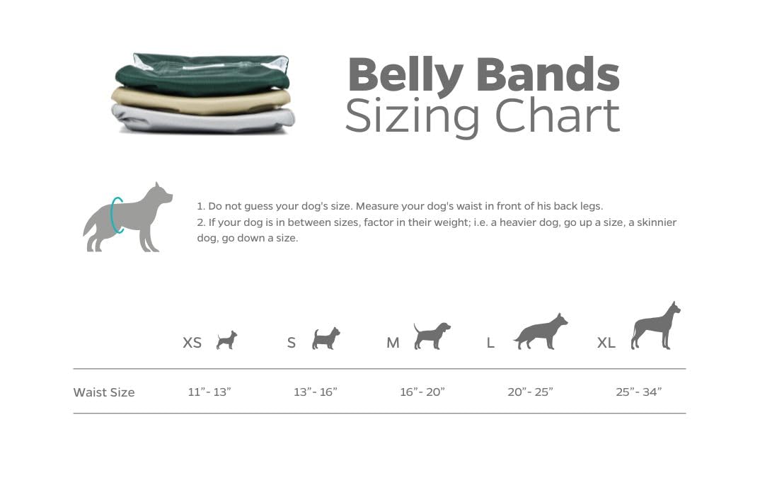 Pet Parents 3-pack belly bands in black, rust, grey for versatile daily wear.