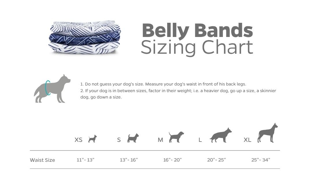 Pet Parents adjustable hook-and-loop closure secures bands without pulling fur.