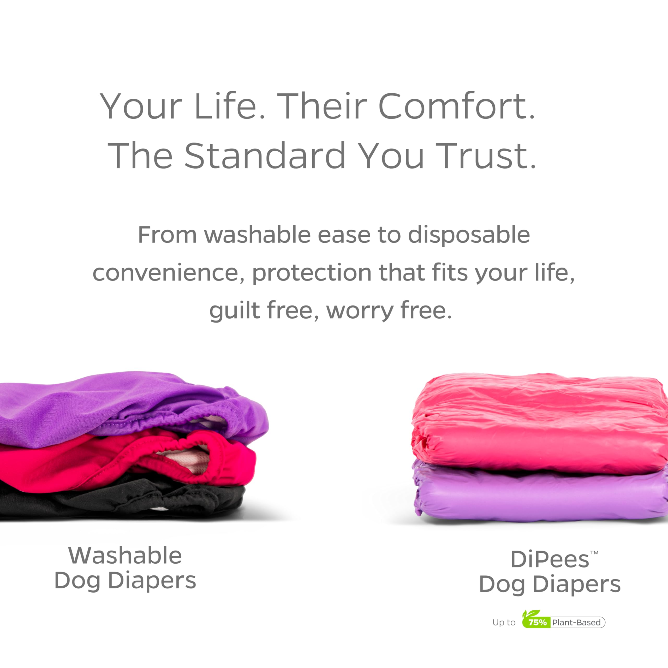 Pet Parents diaper protects carpets and furniture from leaks.