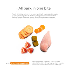 Pet Parents dog joint supplements soft chews close-up emphasizing easy-to-chew texture.
