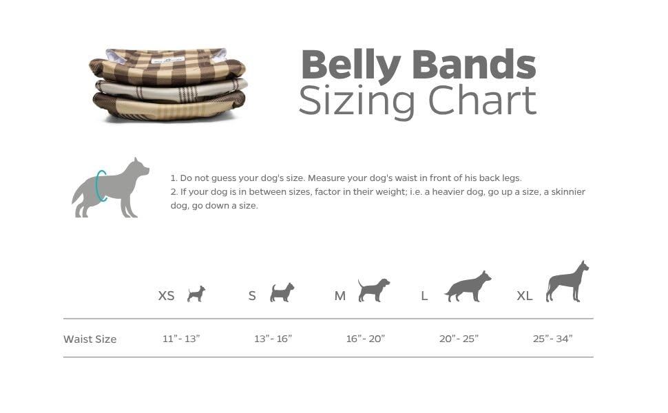 Pet Parents belly bands stay in place during play and naps