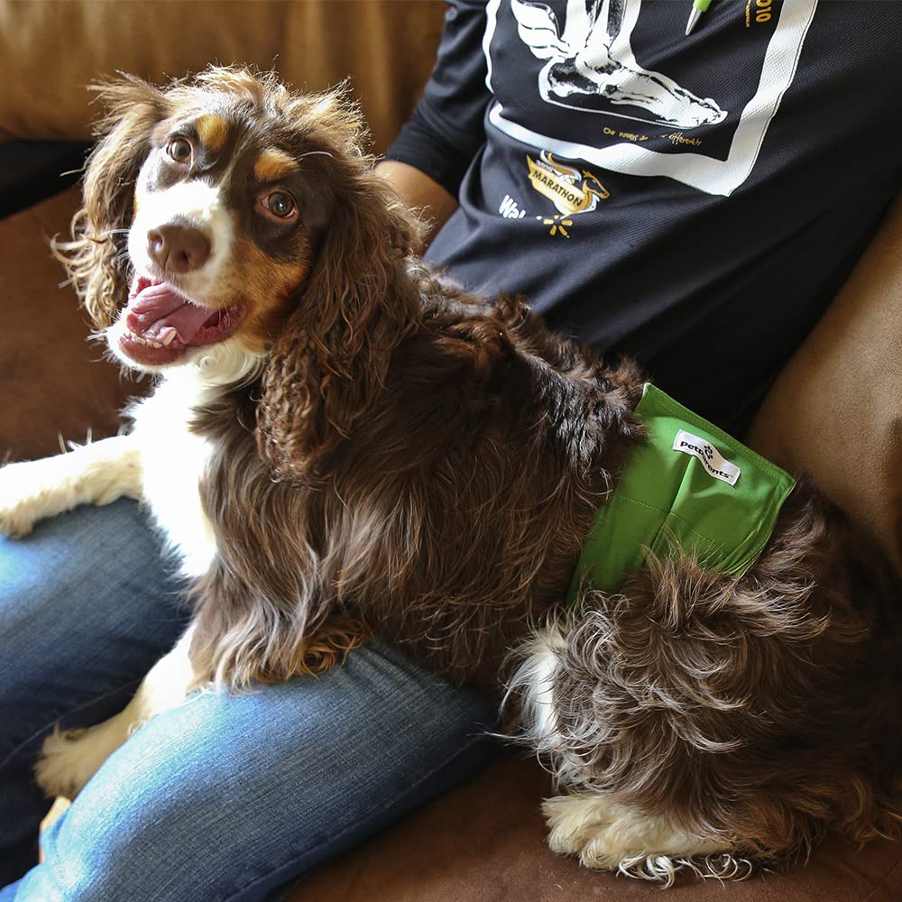 Pet Parents eco-friendly washable option reduces waste compared to disposables.