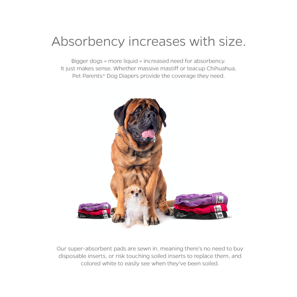 Pet Parents Extendrs fit extension highlights extra inch for better fit.