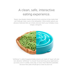 Pet Parents Forager Bowl with non-slip backing for steadier meals.