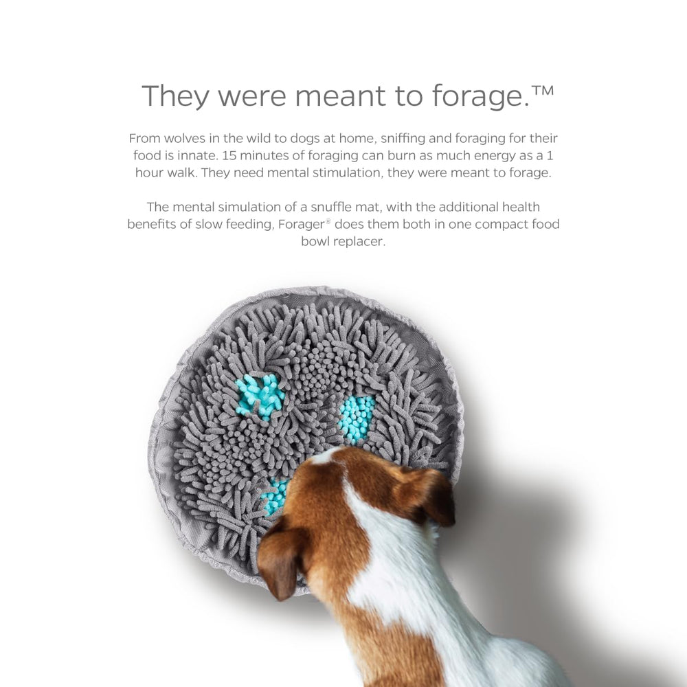Pet Parents Forager Bowl softsnout supports gentle, engaging sniffing sessions.