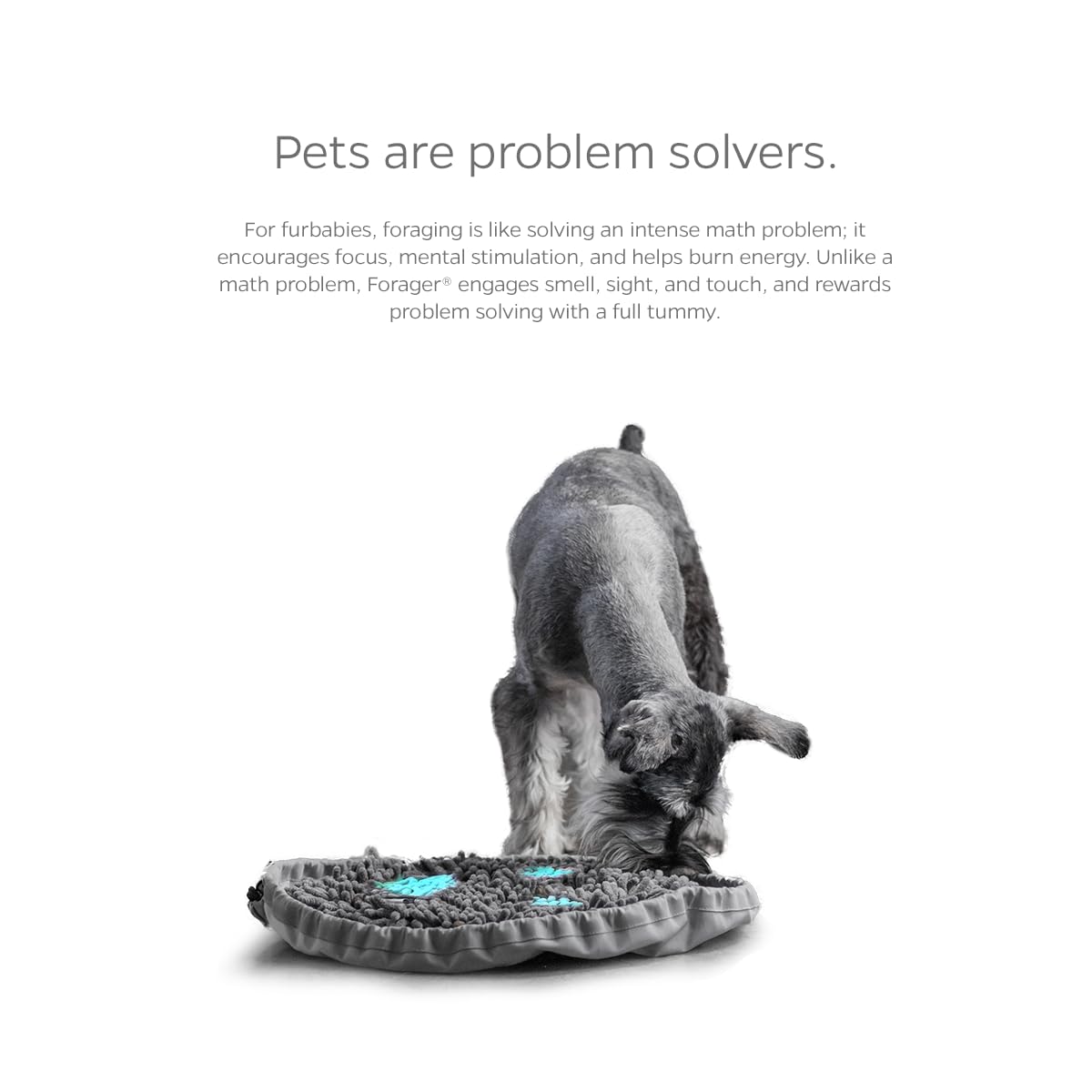 Pet Parents Forager Bowl visual-stimulation engages canine and feline brains.