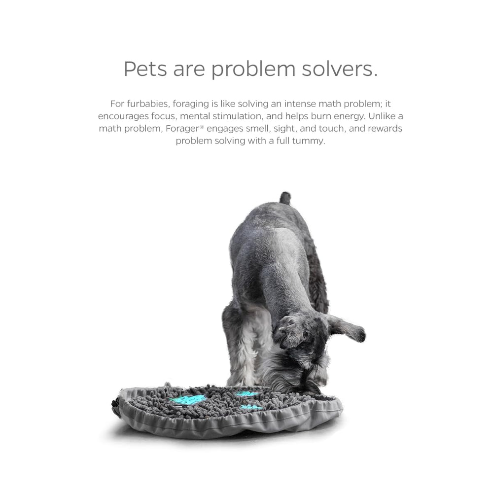Pet Parents Forager Bowl visual-stimulation engages canine and feline brains.