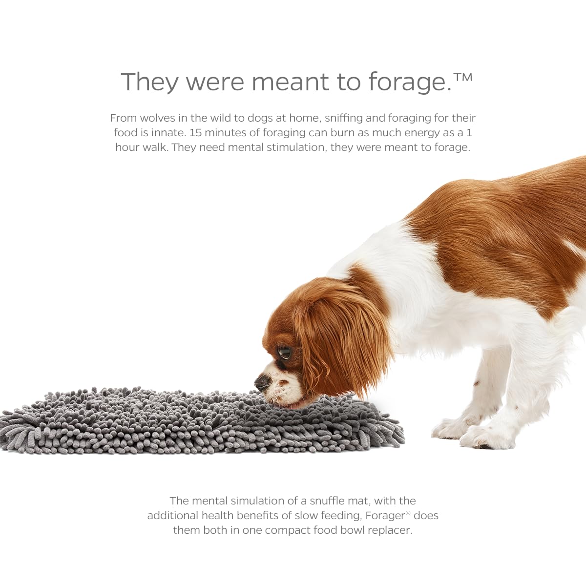 Pet Parents Forager Mat SoftSnout material keeps noses gentle during sniffing.