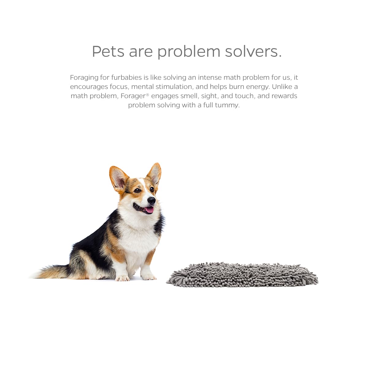 Pet Parents Forager travel-friendly snuffle mat for trips