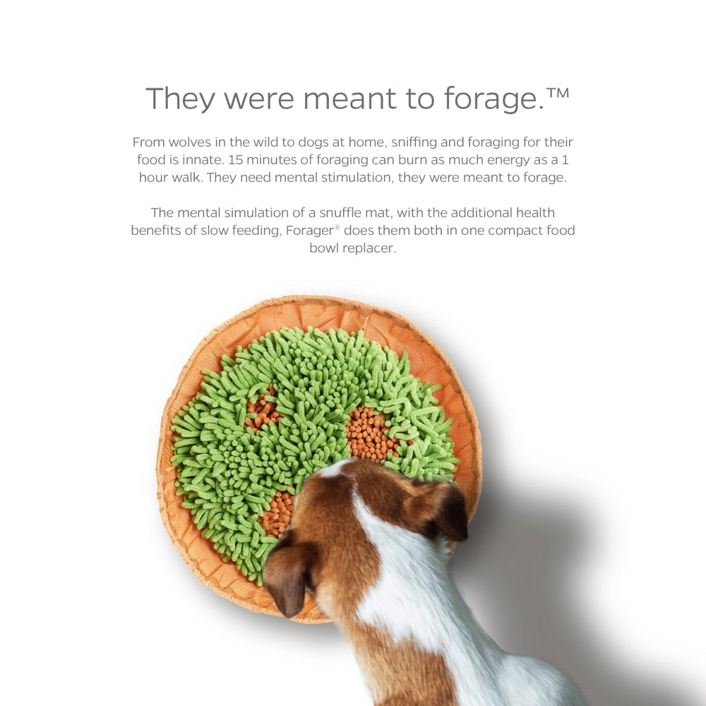 Pet Parents Forager travel snuffle mat with a drawstring pocket.