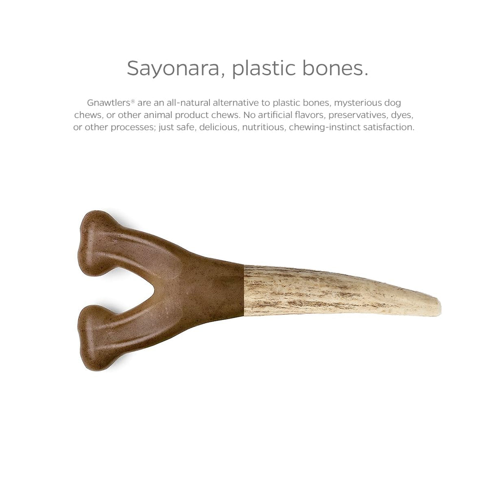 Pet Parents Gnawtlers elk antler durable chew demonstrates heartland-sourced goodness.