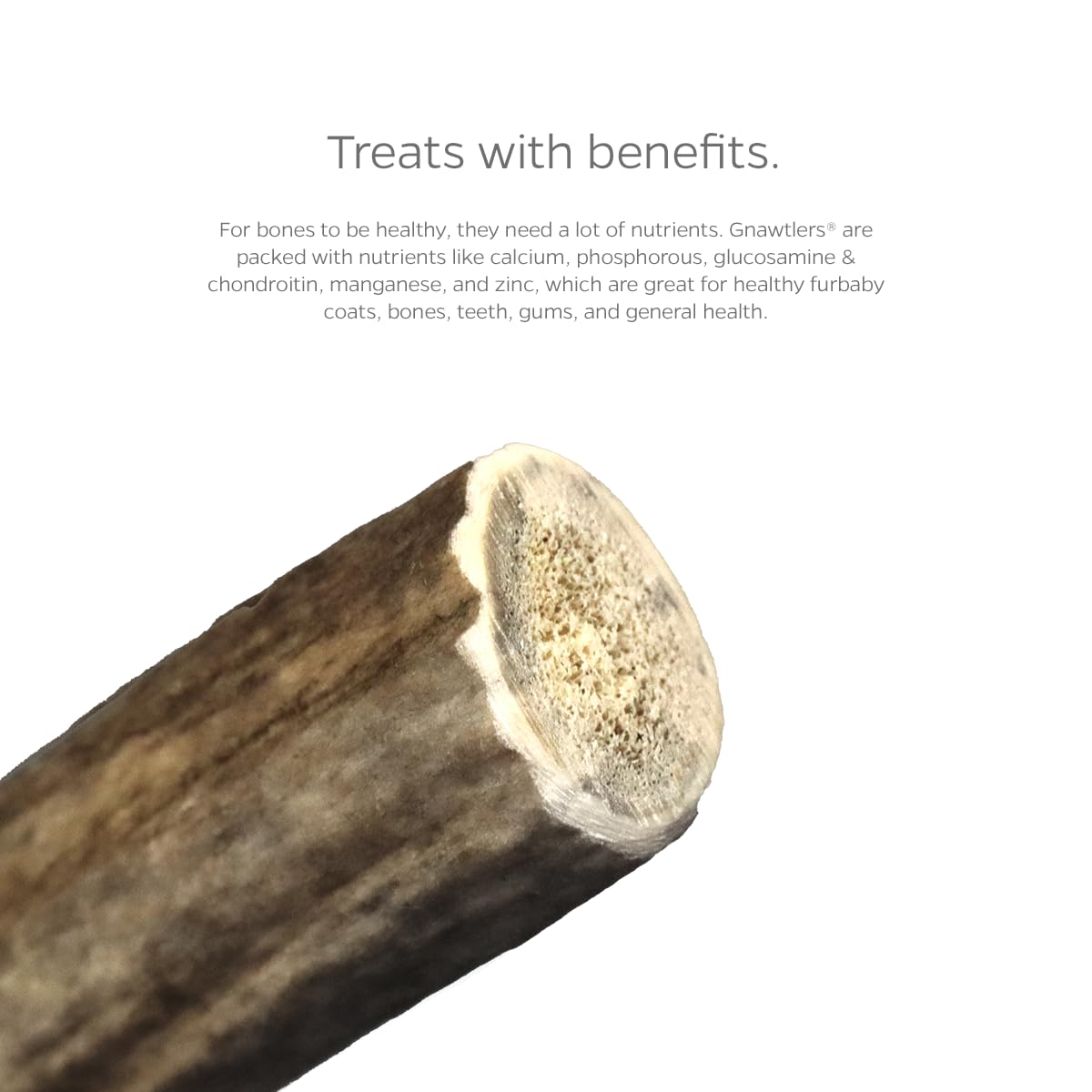Pet Parents Gnawtlers elk antler vacuum-sealed packaging preserves freshness and cleanliness.
