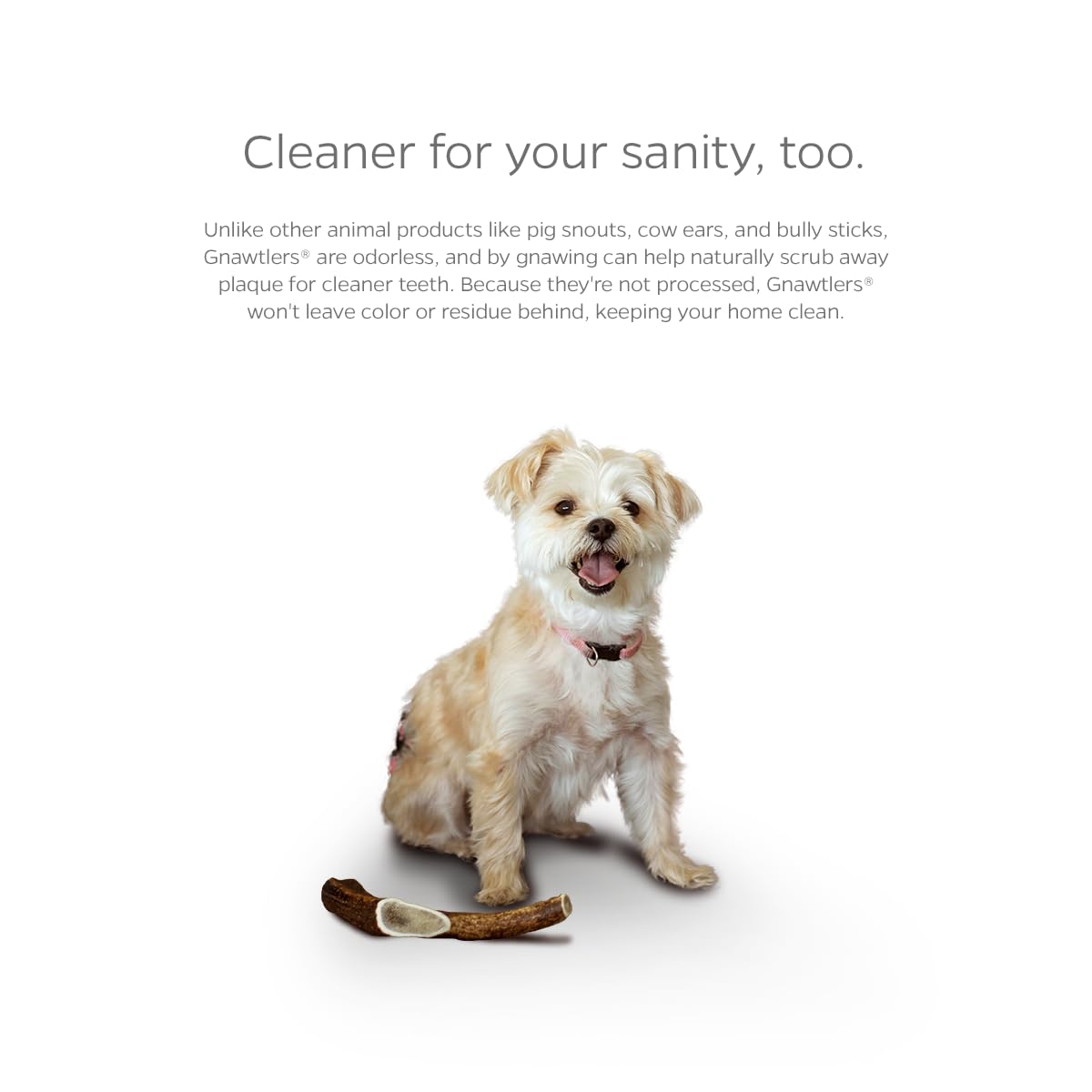 Pet Parents Gnawtlers elk antler long-lasting chew helps with mental stimulation.