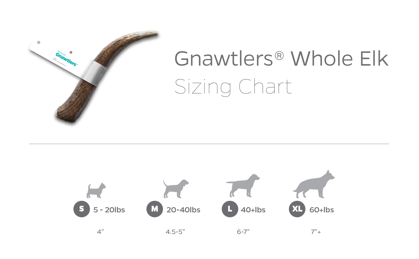Pet Parents Gnawtlers elk antler grade-selected chew reflects careful hand-picking.