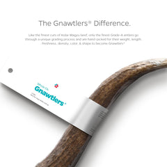 Pet Parents Gnawtlers elk antler natural shed highlights durable, long-lasting chew for dogs.