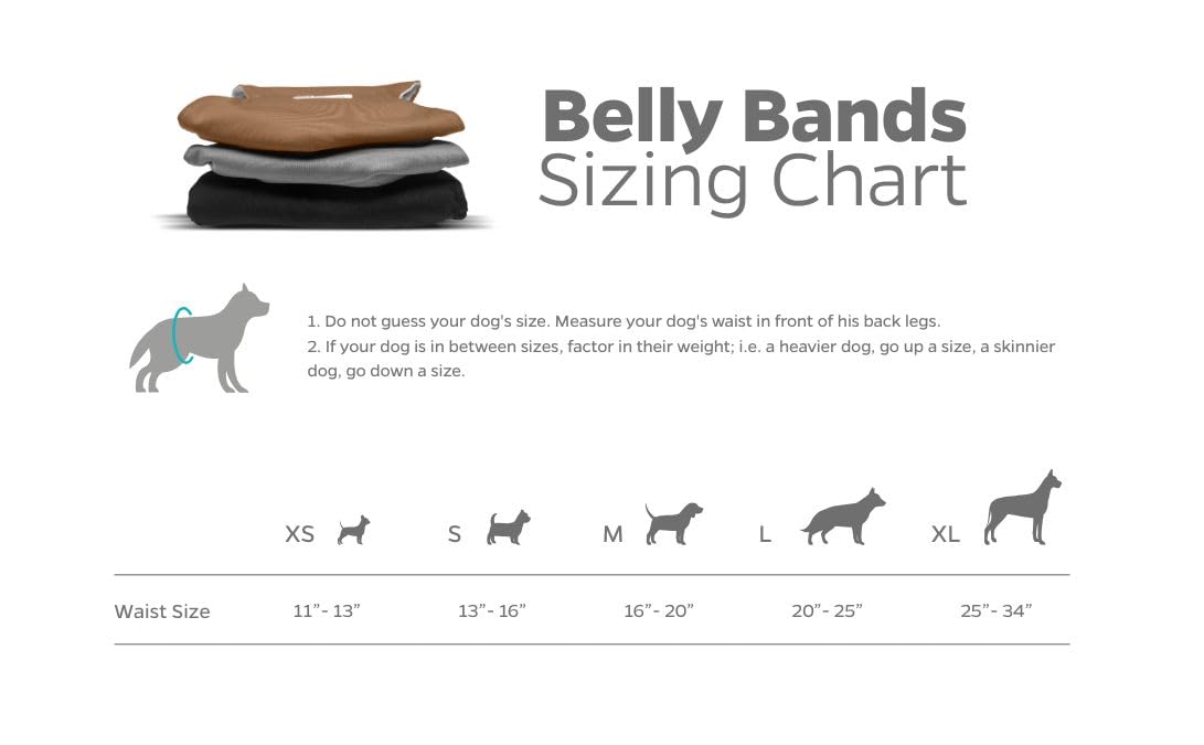 Pet Parents hook-and-loop closures secure snug, fur-safe fit