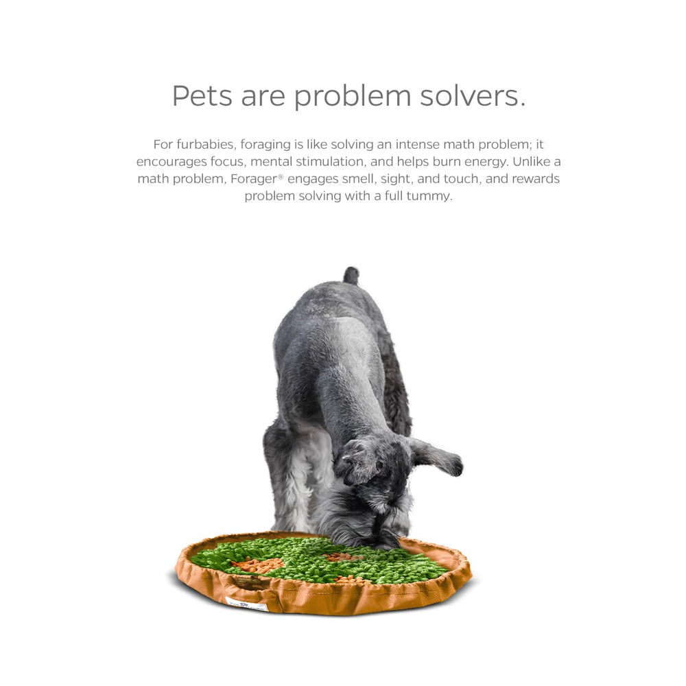 Pet Parents Meadow Natural color enhances home dining aesthetics.