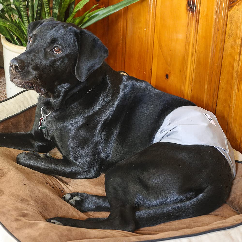 Pet Parents measuring guide showing waist 20 to 25 inches