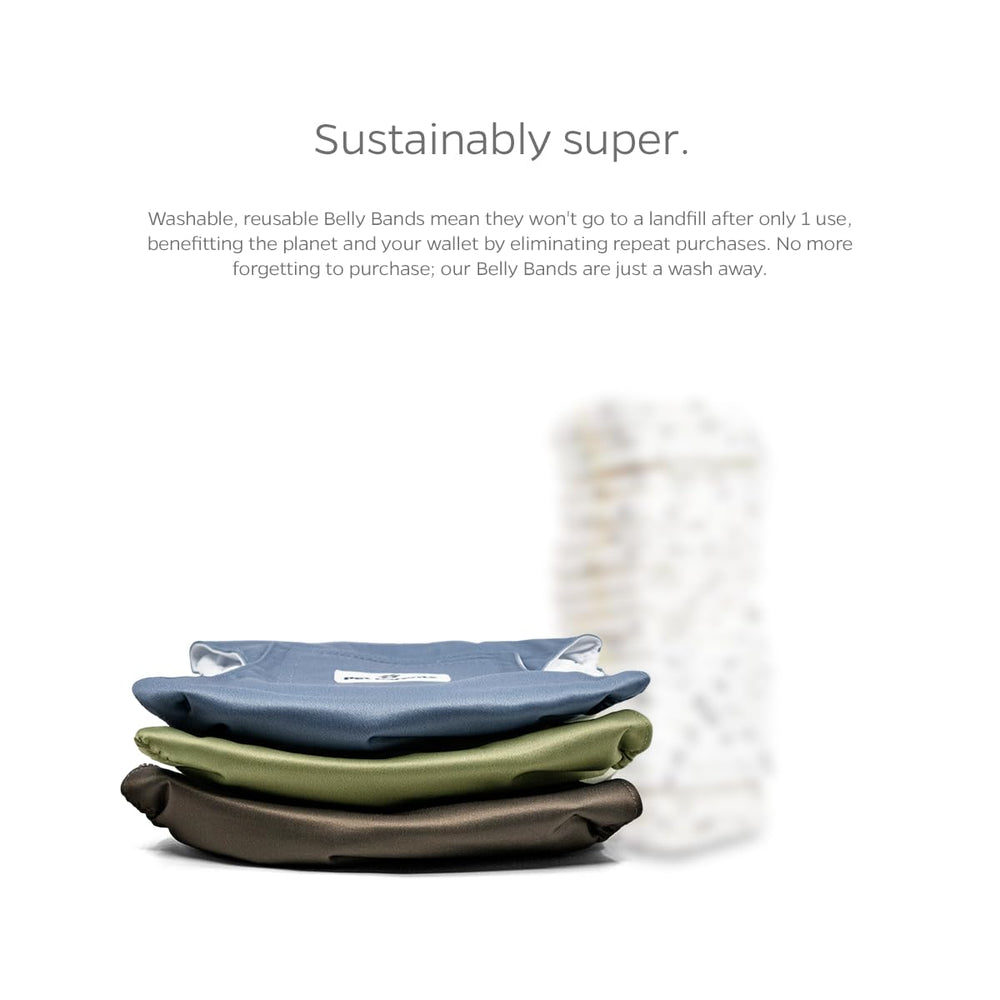 Pet Parents belly bands help reduce leaks during small adventures
